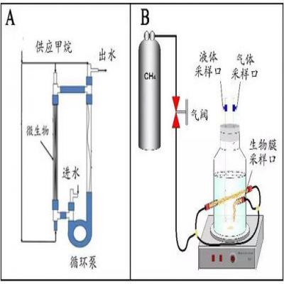 廢水處理的物質和能量循環方法與技術探索