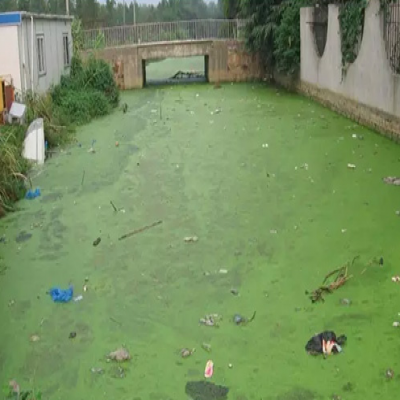 雨污水混流地區(qū)黑臭水體綜合治理方案探討